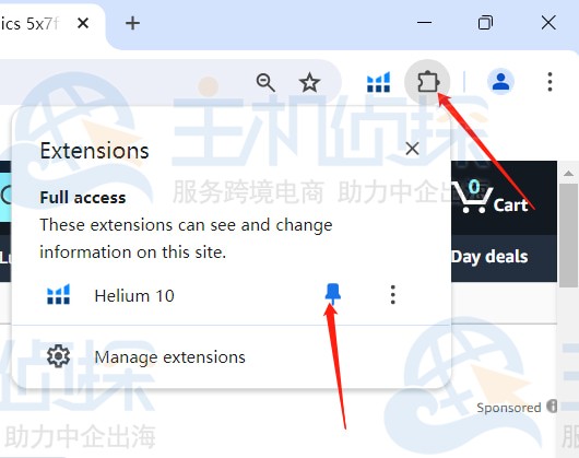Helium10插件