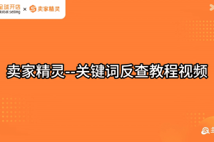 卖家精灵关键词反查教程视频