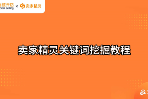 卖家精灵关键词挖掘教程