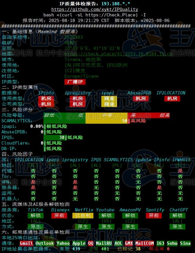 IP体检报告