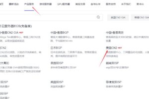 美国CN2