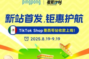 PingPong活动