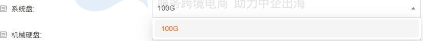 RAKsmart裸机云服务器系统盘