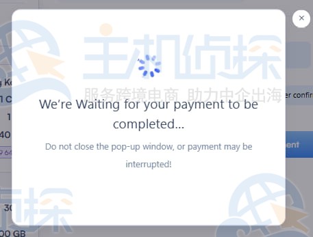 SurferCloud付款