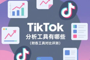 TikTok数据分析工具