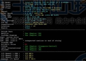 RAKsmart日本服务器E3-1230方案综合评测视频