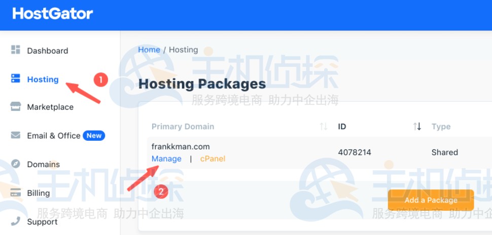 找到DNS网址