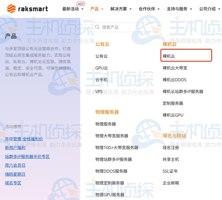 RAKsmart