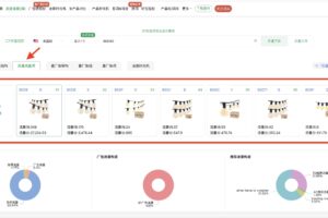 子体概览