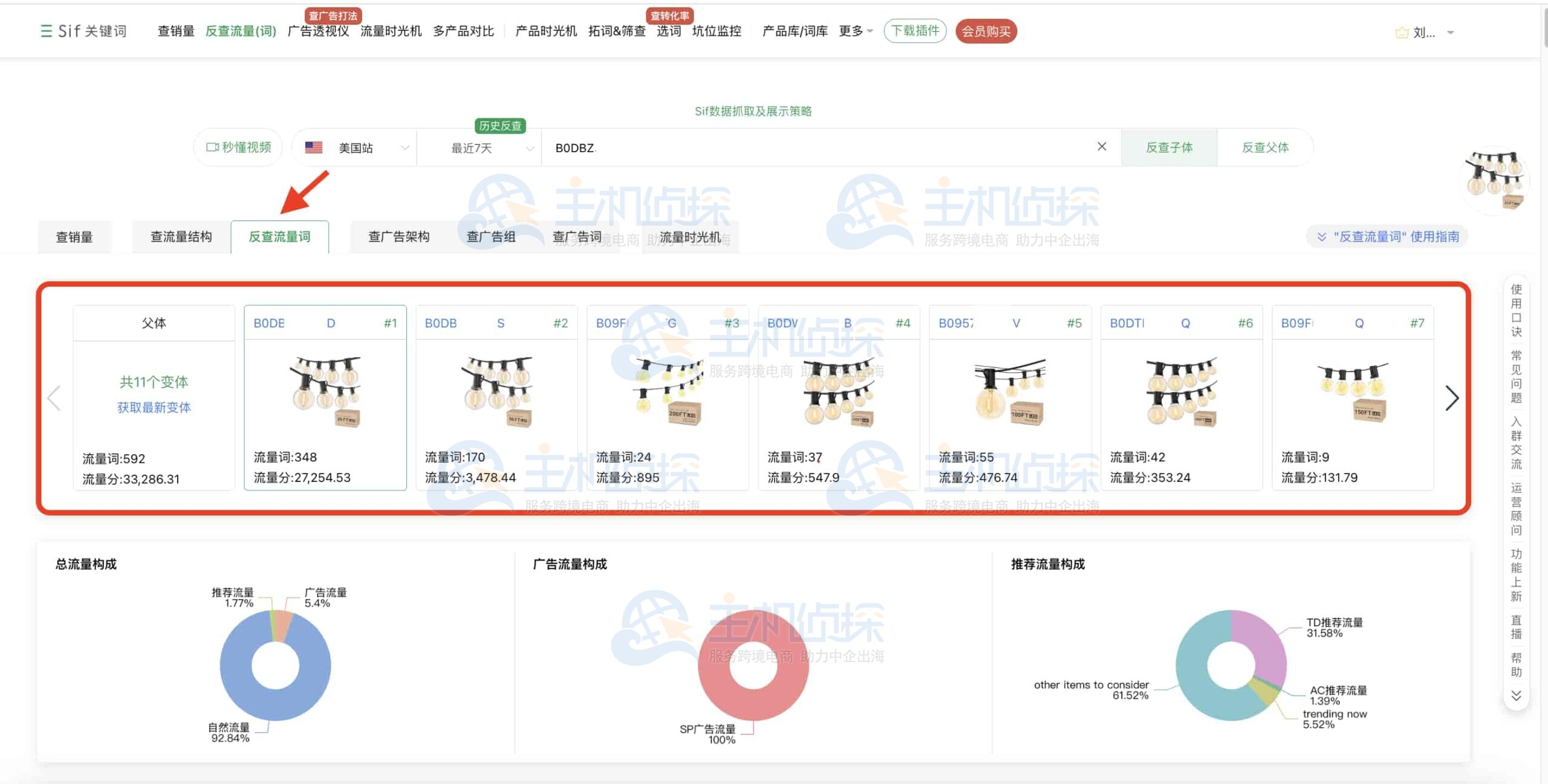 子体概览