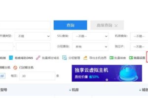 虚拟主机查询