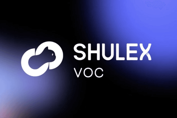 Shulex VOC:面向全球VOC市场的AI SaaS平台