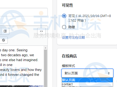 模板样式