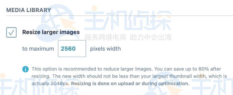 调整较大图像的大小