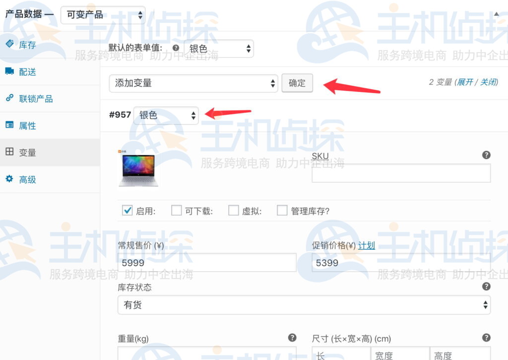变量选项设置