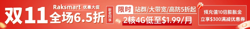 RAKsmart美国服务器