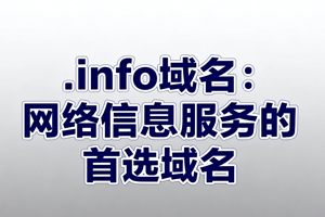 .info域名