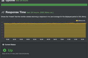 Liquid Web美国主机正常运行时间测试
