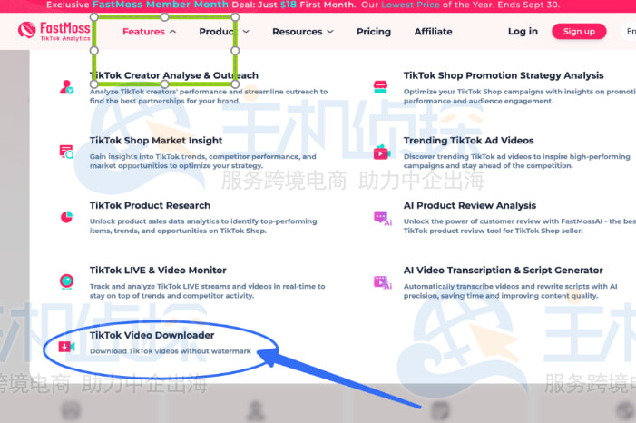 点击视频下载器