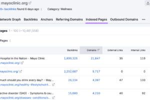 SEMrush索引报告页面
