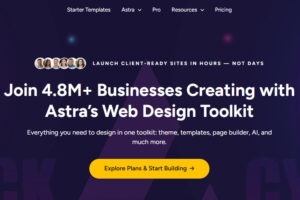 WordPress Astra主题黑五优惠