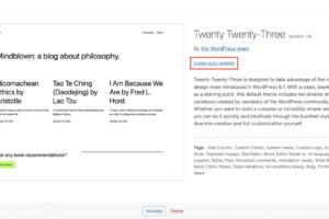 WordPress主题自动更新