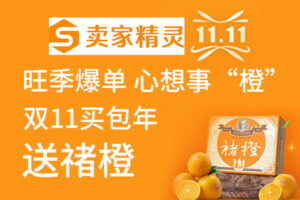 卖家精灵双十一大促