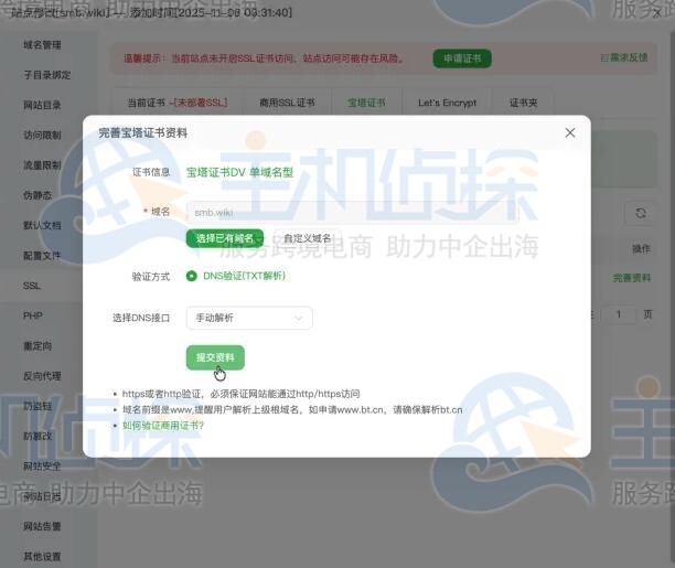 选择域名并提交材料