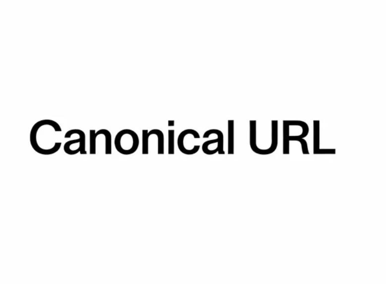 网址规范化（Canonical URL）
