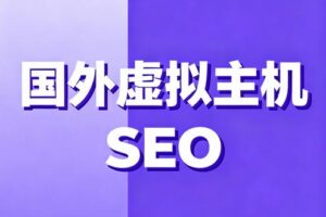 国外虚拟主机对SEO的影响
