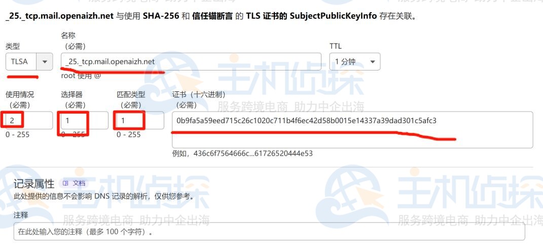 补充域名DNS记录