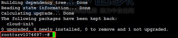安装Docker Compose