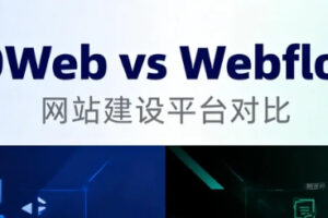 10Web与Webflow对比分析