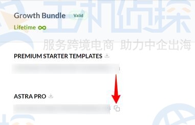 填写Astra Pro激活码（许可证）