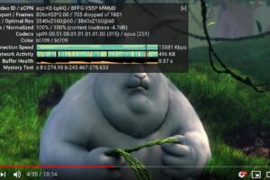 YouTube 4K视频速度测试