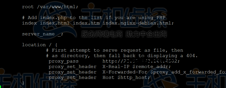 配置Nginx反向代理