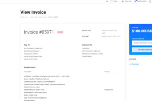 Ultahost主机选择付款方式