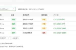 WordPress漏洞检测插件检测结果