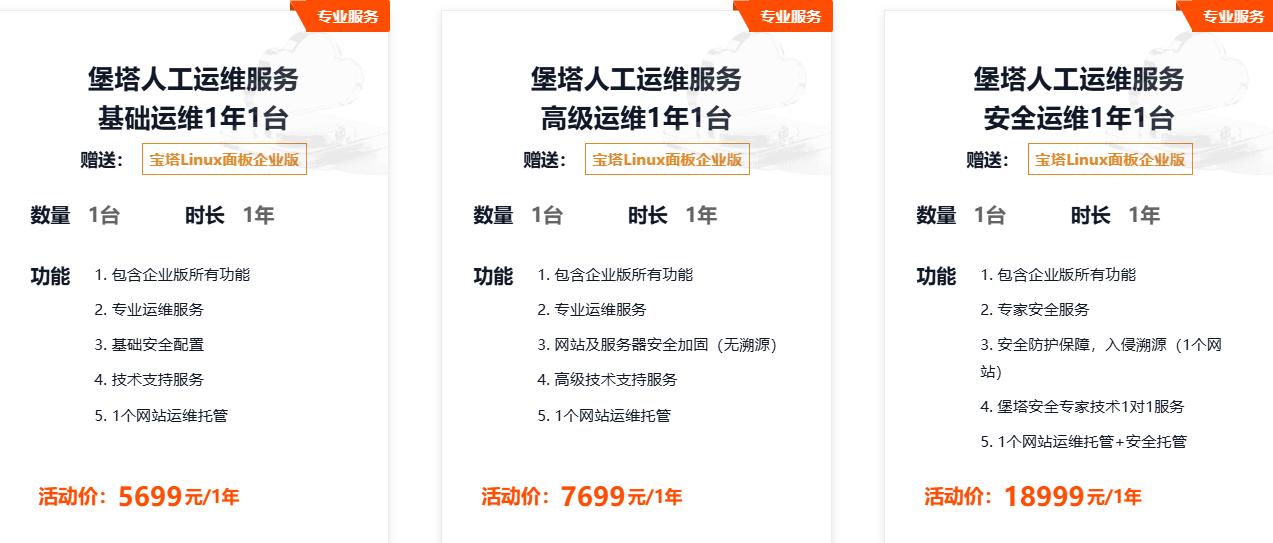 宝塔人工安全运维服务