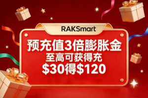 RAKsmart双旦预充值3倍膨胀金