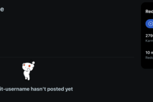 优化Reddit账号​