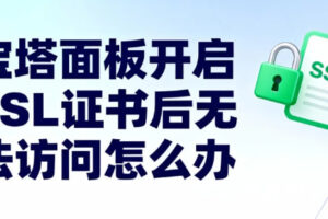 宝塔面板ssl证书无法访问