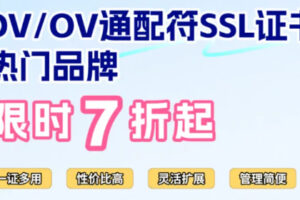 DV/OV通配符SSL证书双旦7折优惠