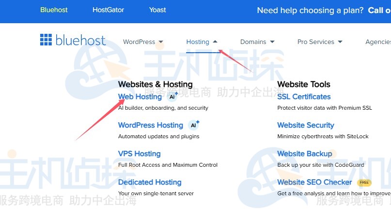 BlueHost