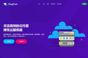 狗云(DogYun)新年活动