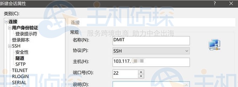 填入你的DMIT VPS公网IP地址
