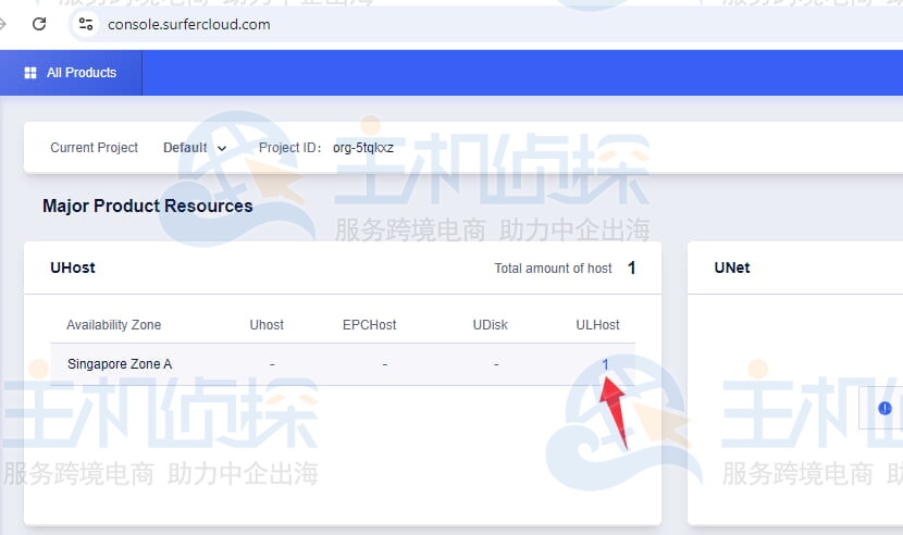 查看SurferCloud VPS