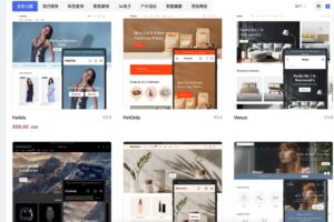 Shoplazza和Squarespace建站体验