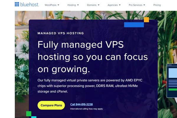 BlueHost