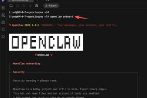 OpenClaw初始化引导